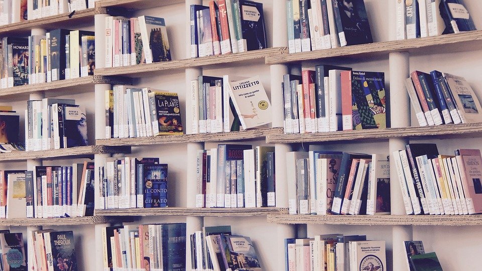 Reading Shelf Silence Books Library Read Shelves