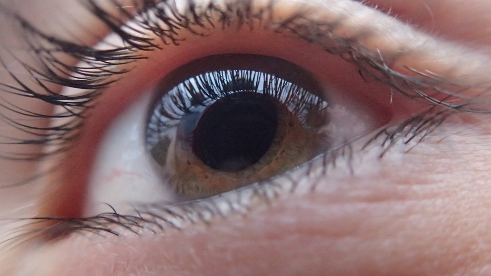 Vision Eye Face Person Eyeball Iris Human Look
